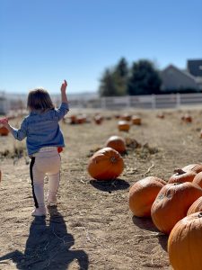 Andelin Family Farm Pumpkin Patch