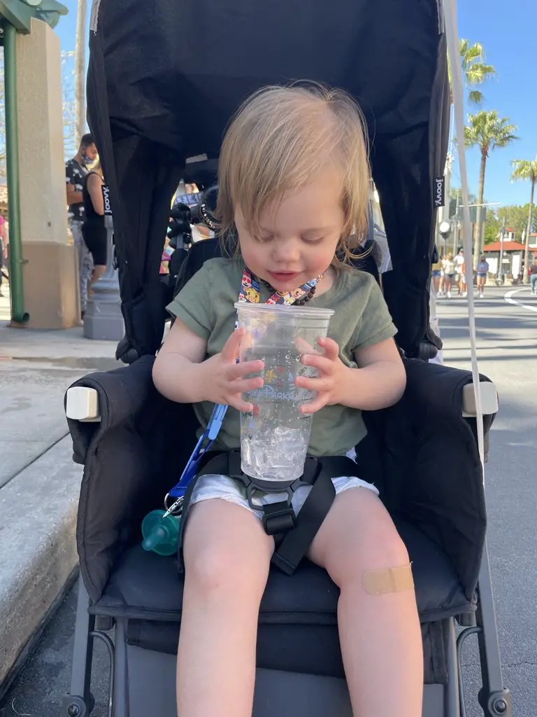 Top theme park tips for toddlers stroller