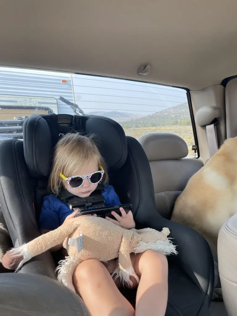 Road Trip Essentials: Why a Car Tray is a Must-Have for Family Travel