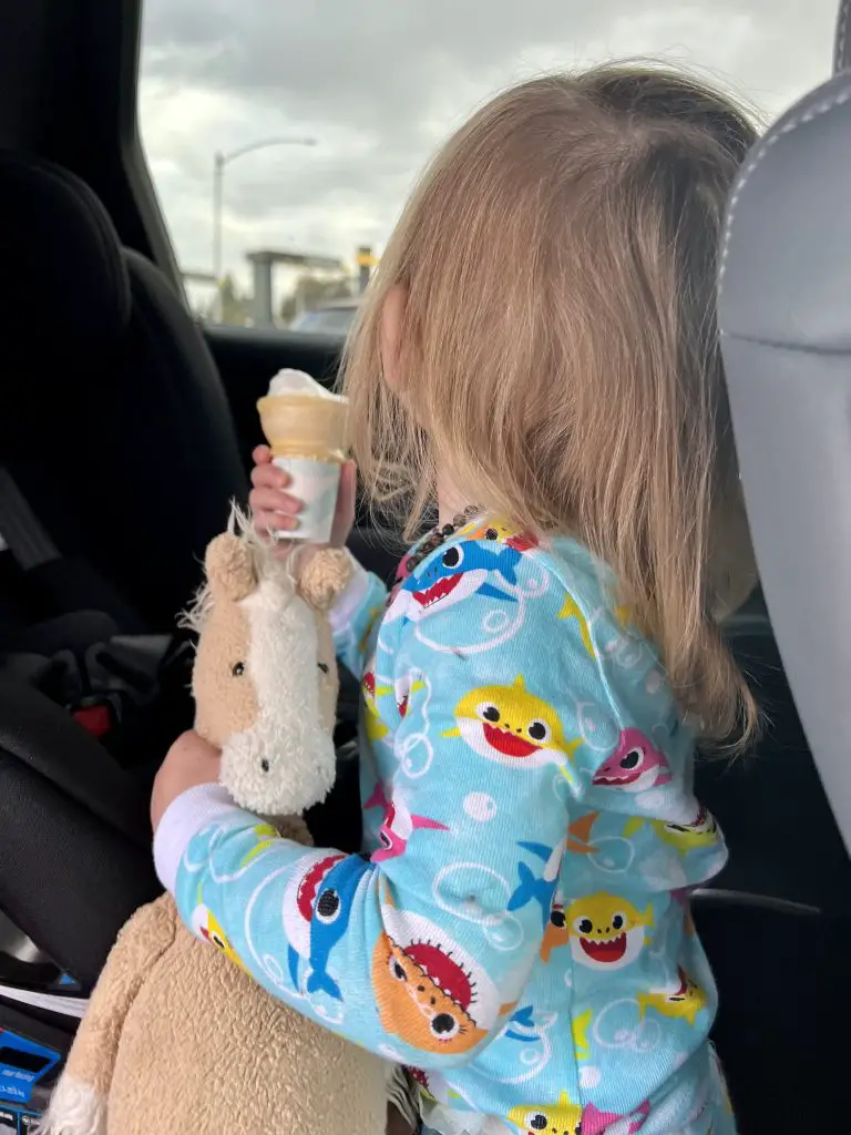 24 Road Trip Essentials for Toddlers [2023 Edition] - Third Row