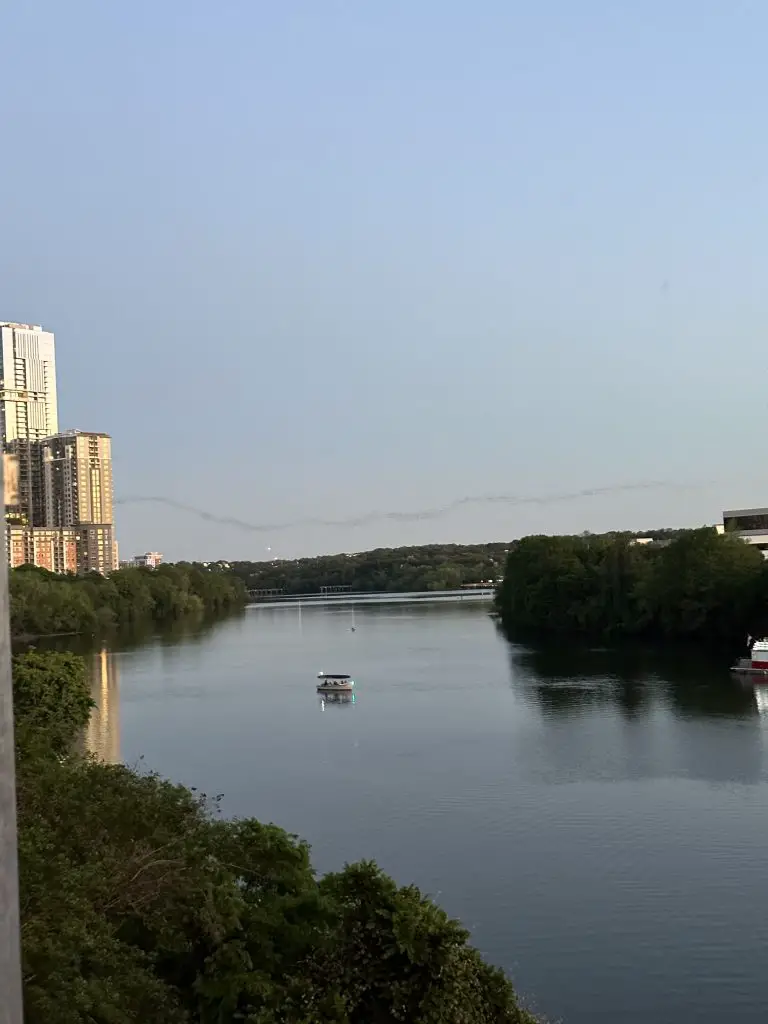 bats flying things to do in austin with toddlers