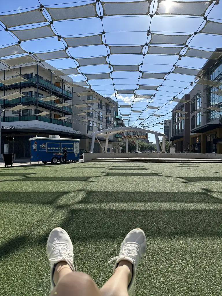 grass area at the domain