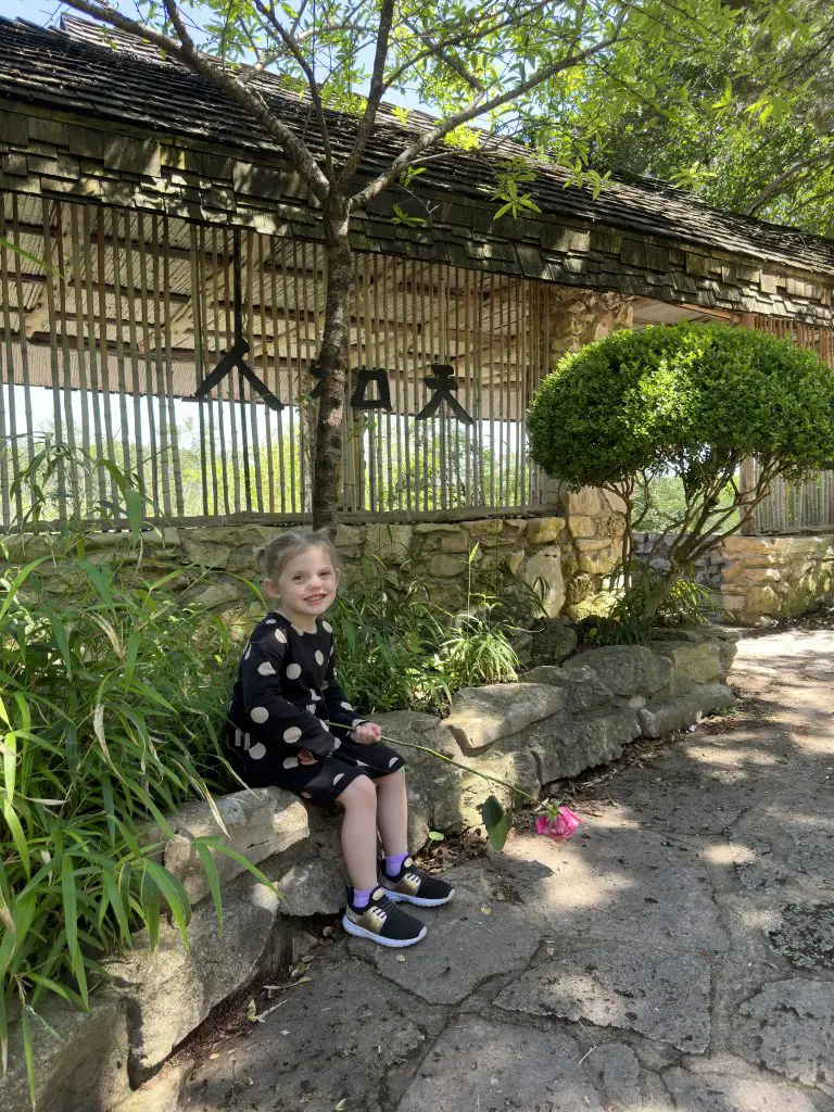 toddler outside austins zilker botanical garden tea house