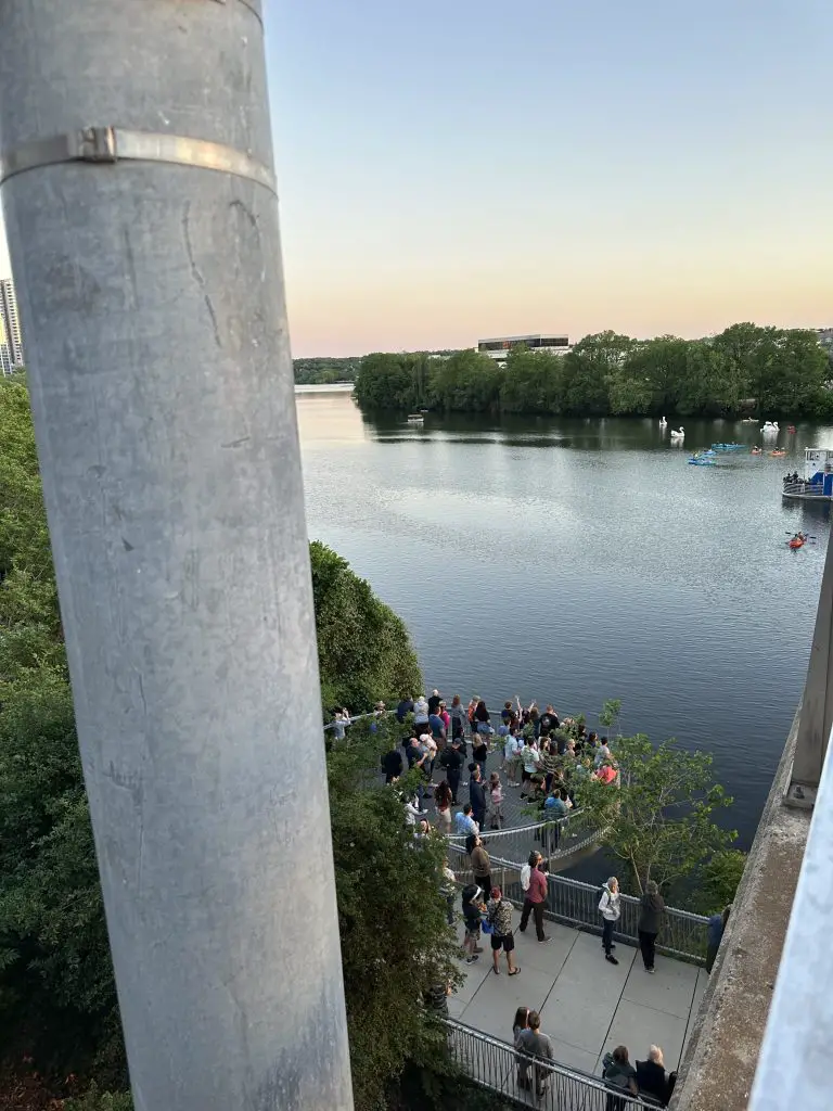 viewing areas for bats things to do in austin with toddlers