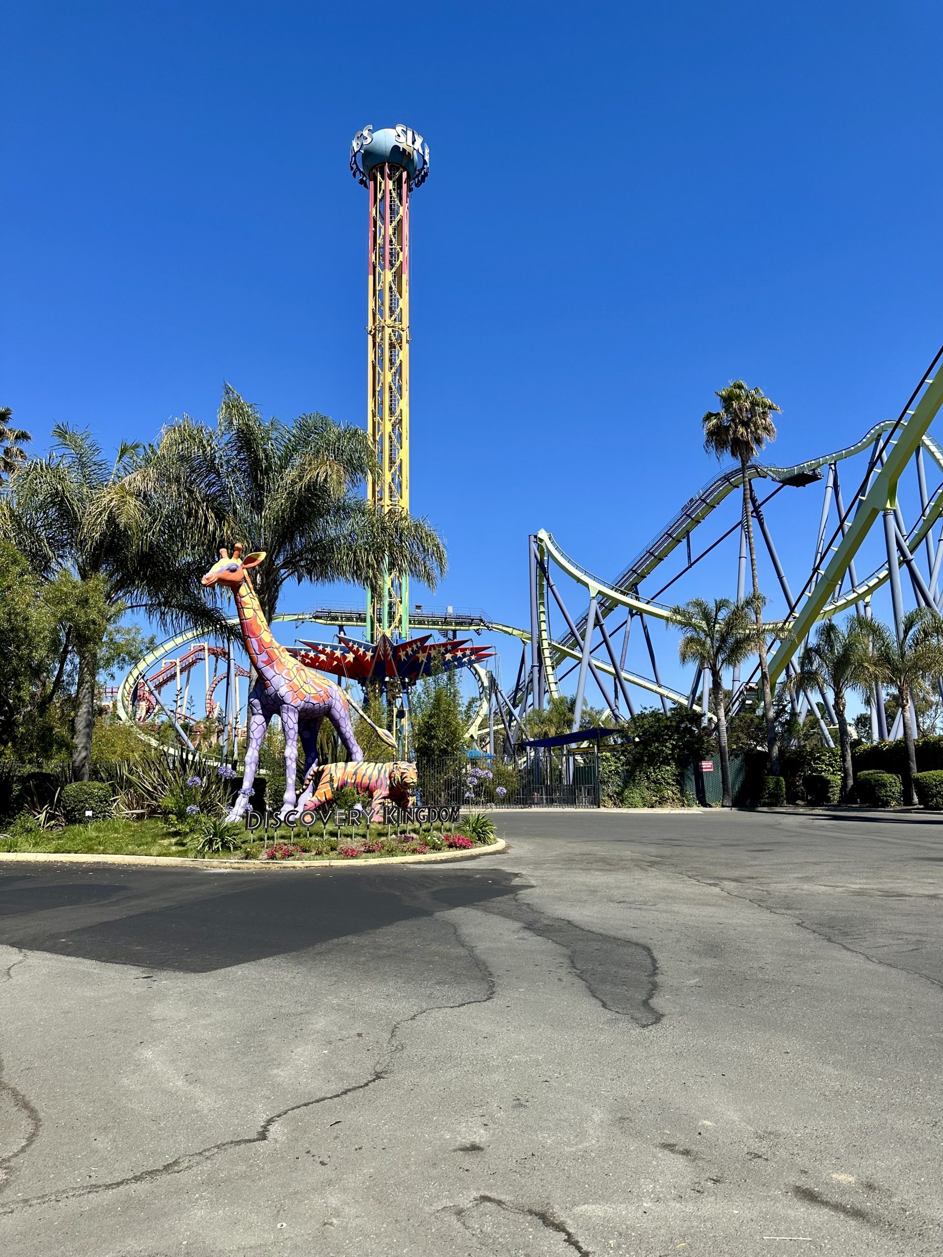 Dolphin Discovery - Six Flags Discovery Kingdom