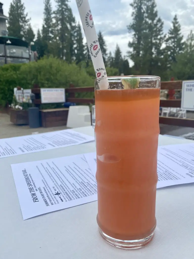 Garwoods Wet Woody lake tahoe summer activities